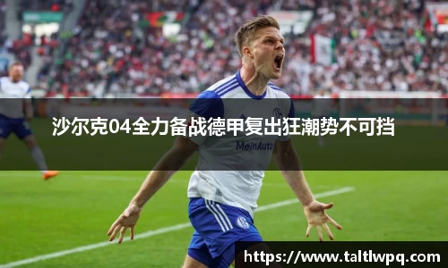 沙尔克04全力备战德甲复出狂潮势不可挡