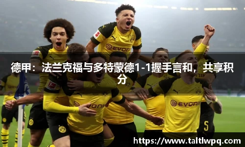 yy易游体育