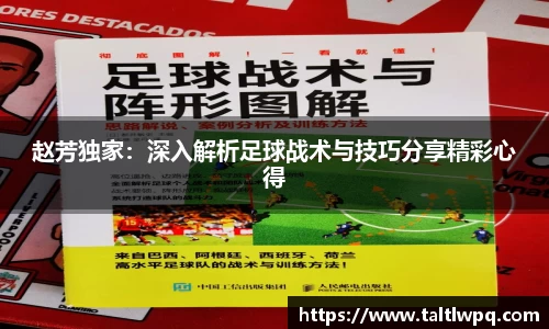 赵芳独家：深入解析足球战术与技巧分享精彩心得