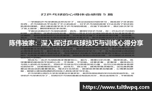 陈伟独家：深入探讨乒乓球技巧与训练心得分享