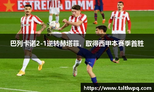 yy易游体育