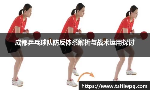 成都乒乓球队防反体系解析与战术运用探讨