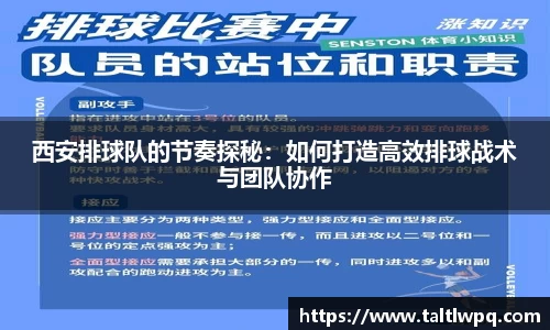 西安排球队的节奏探秘：如何打造高效排球战术与团队协作