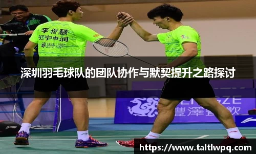 深圳羽毛球队的团队协作与默契提升之路探讨