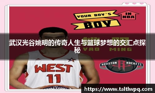 yy体育