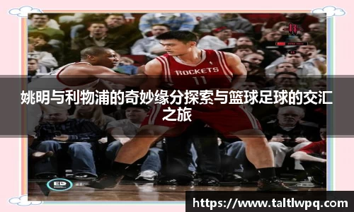 yy易游