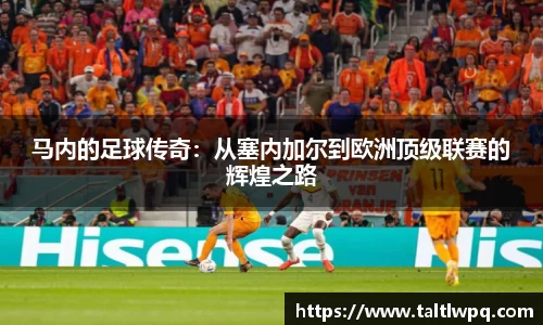 yy易游