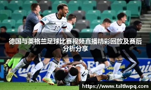 yy易游