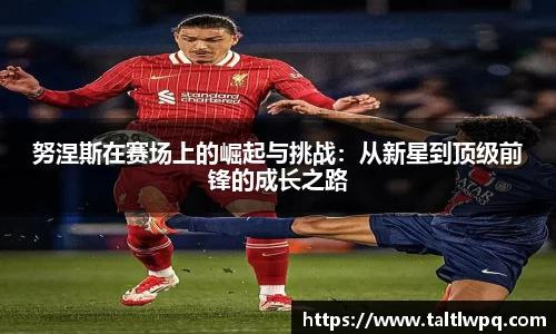 yy易游