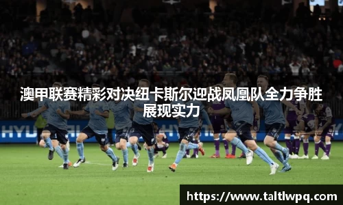 澳甲联赛精彩对决纽卡斯尔迎战凤凰队全力争胜展现实力